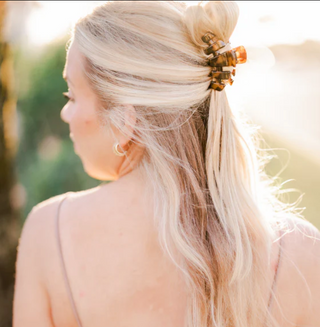 Classic Tortoise Small Hair Clip
