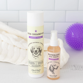 Lavender Vanilla | Soothing Dog Shampoo