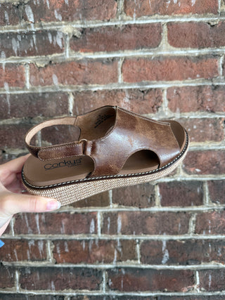 Volta | Chestnut