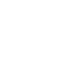 Lou and Co. Boutique