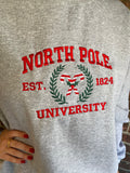 North Pole University Embroidered Sweatshirt