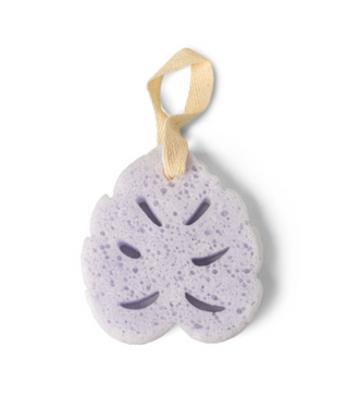 In The Buff Super Sudsy Soap Sponge