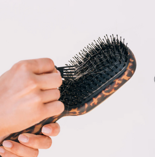 Boar Bristle Hair Brush - Tortoise