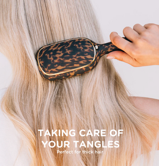 Detangler Hair Brush for Thick Hair – Tortoise